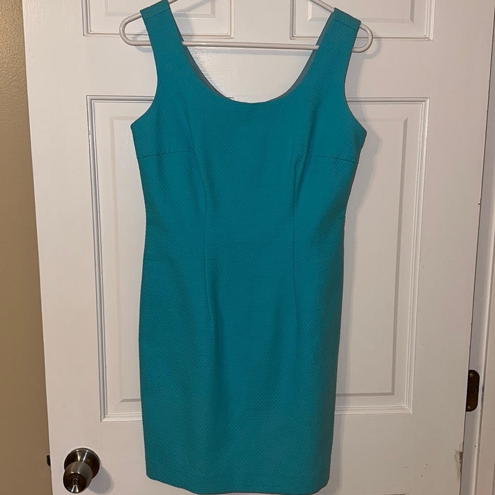 Taiga Paris Dress